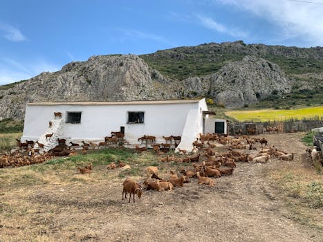 Jouw Spaanse droom: Van hippe stadswijk tot een oase van groen!